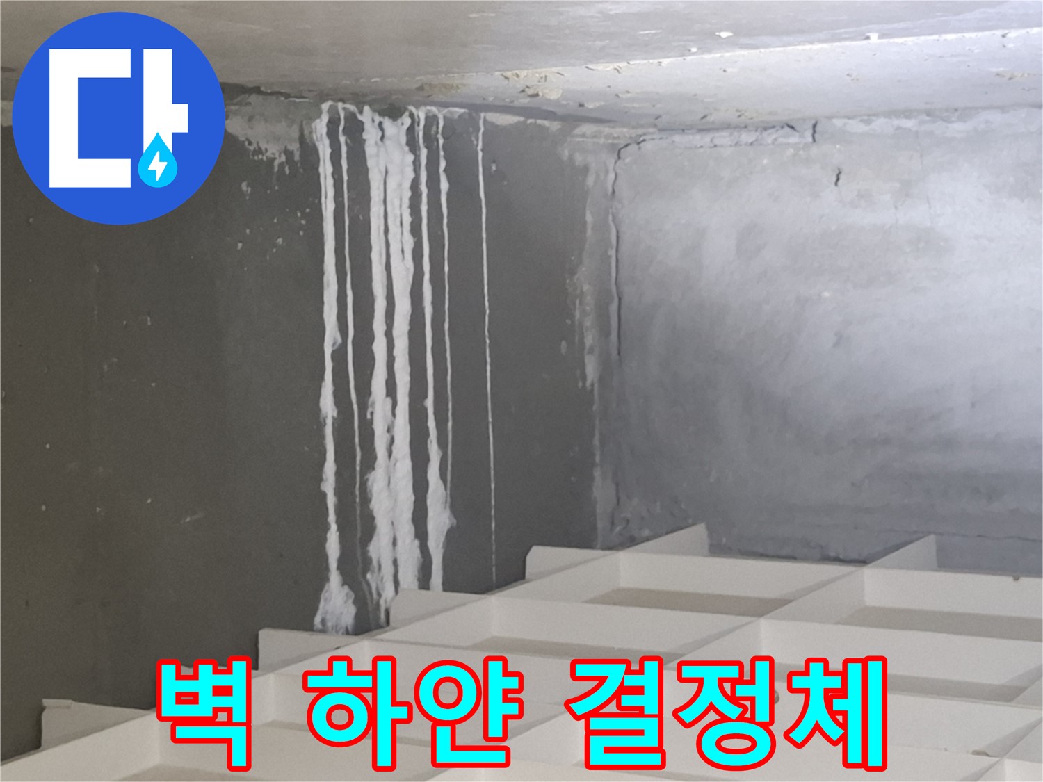 분당 삼평동 아파트 벽 누수 - 하얀 실처럼 맺힌 결정체, 누수와 관련된 석회 성분일 가능성 진단