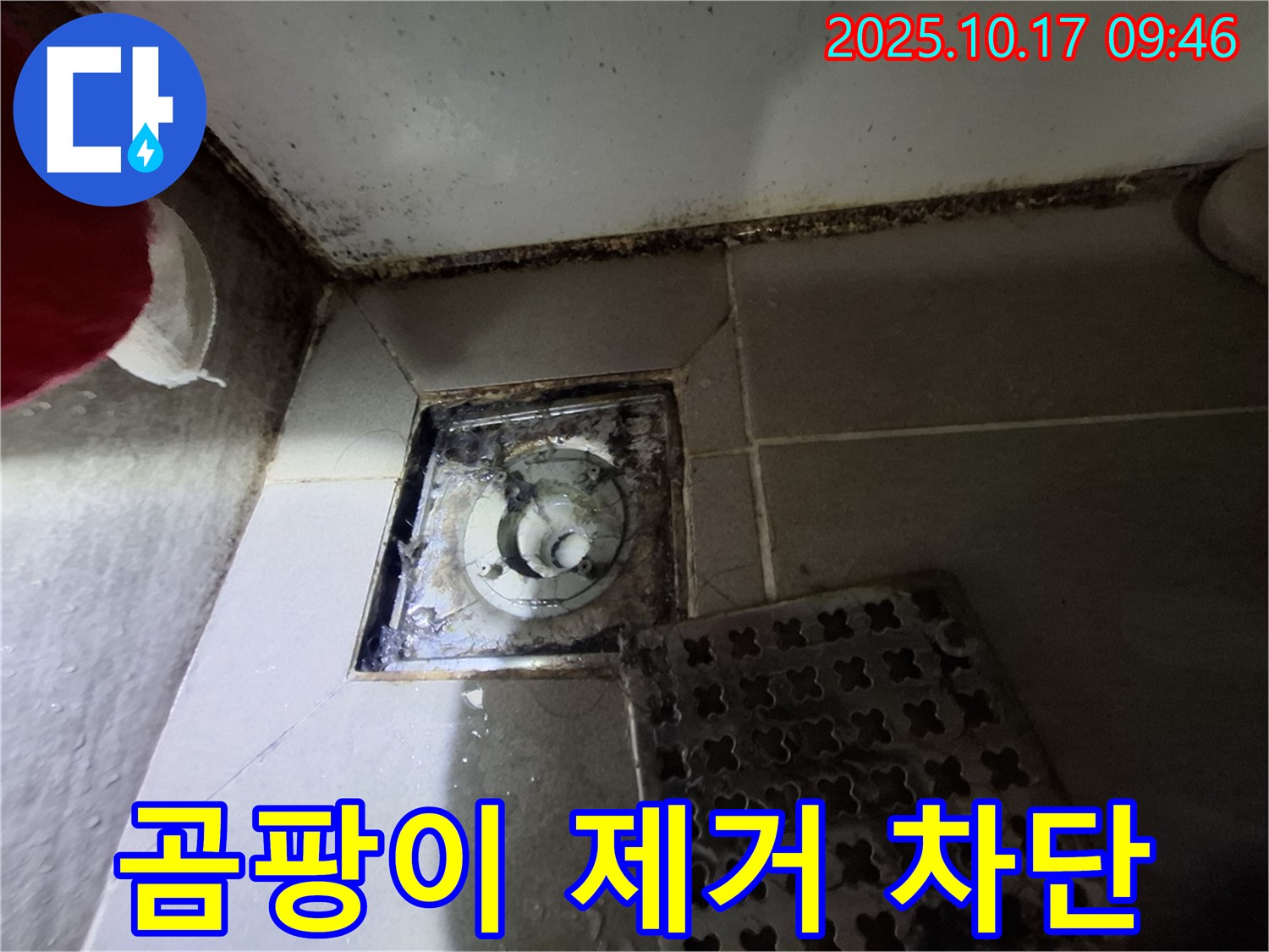 분당 판교 봇들마을 아파트 - 욕실 곰팡이 제거 - 누수 완벽 차단 - 쾌적한 욕실을 만들어 드립니다.