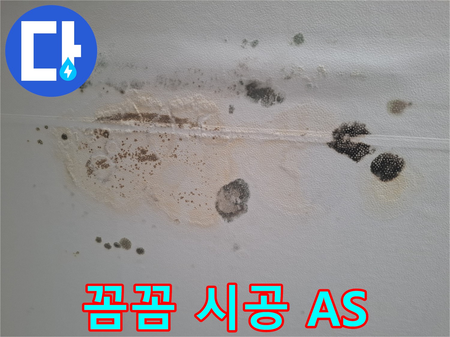 분당구 삼평동 누수 - 곰팡이 핀 천장, 꼼꼼한 시공과 확실한 A/S를 보장합니다