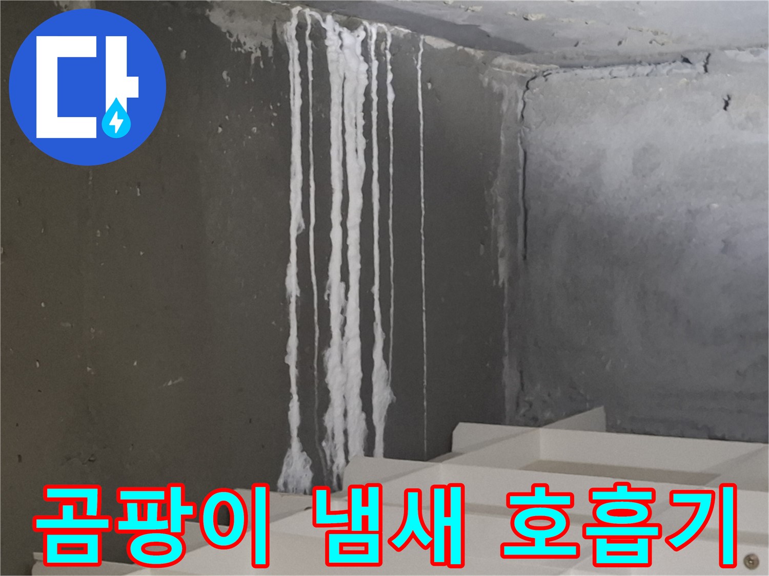 분당구 삼평동 봇들마을 아파트 누수 - 계단 '하얀 곰팡이' 누수는 퀴퀴한 냄새를 유발하고 호흡기 질환을 일으킬 수 있습니다.