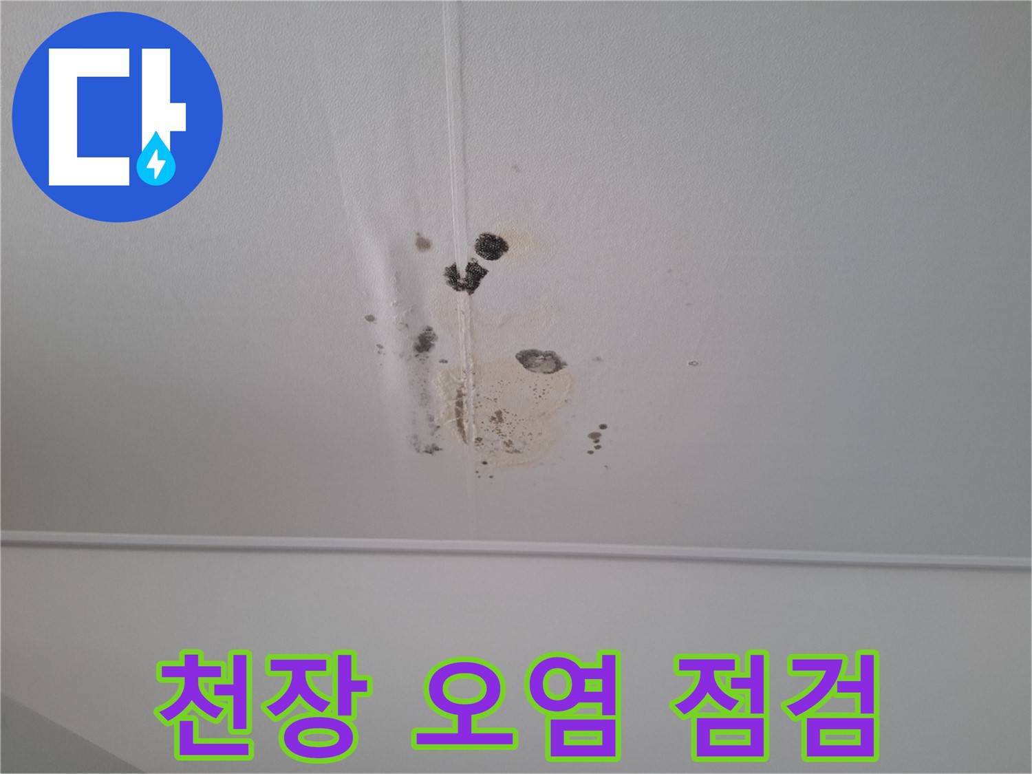 분당구 삼평동 봇들마을 아파트 천장 오염 상태 - 누수 흔적과 곰팡이가 심각합니다.