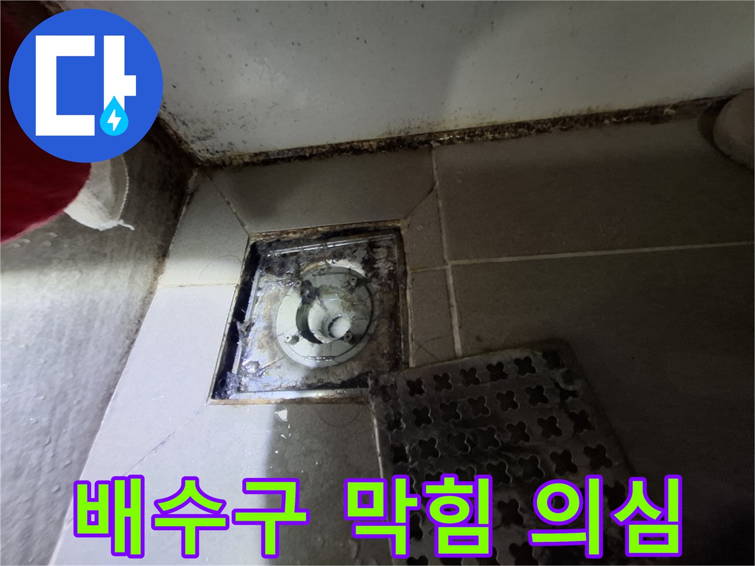 삼평동 717 봇들마을2단지 욕실 배수구 - 막힘과 누수 가능성 진단