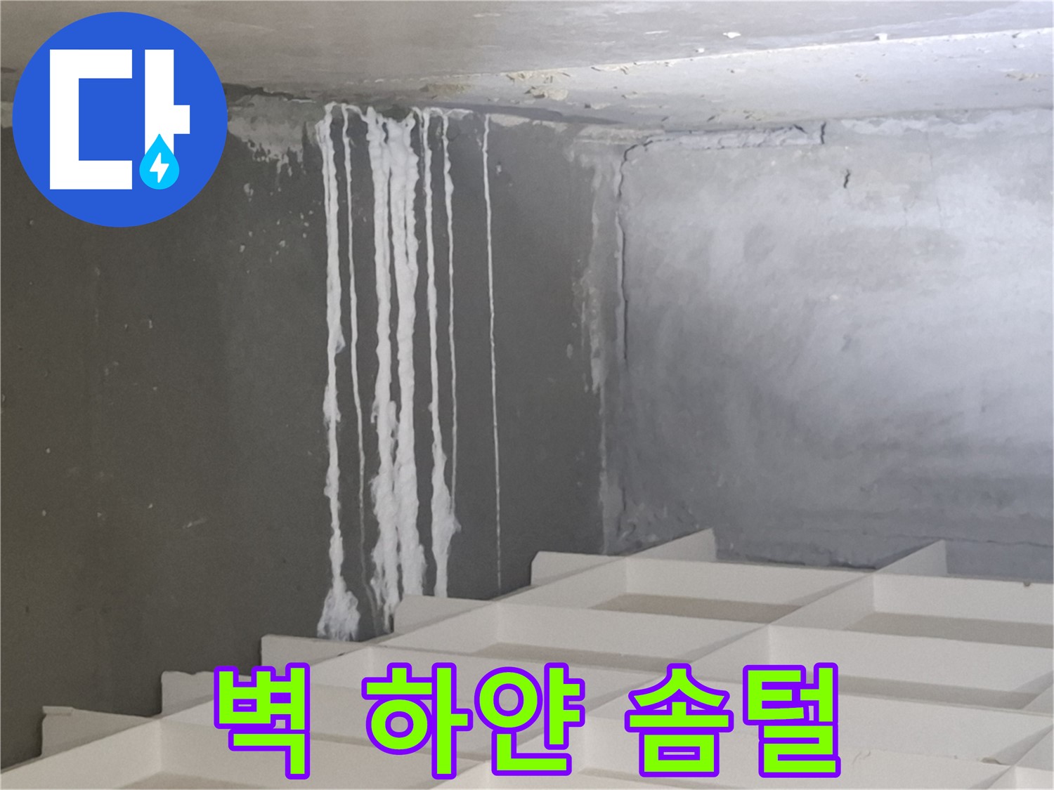 삼평동 누수 - 벽에 맺힌 하얀 솜털, 누수와 관련된 석회 성분일 가능성 진단