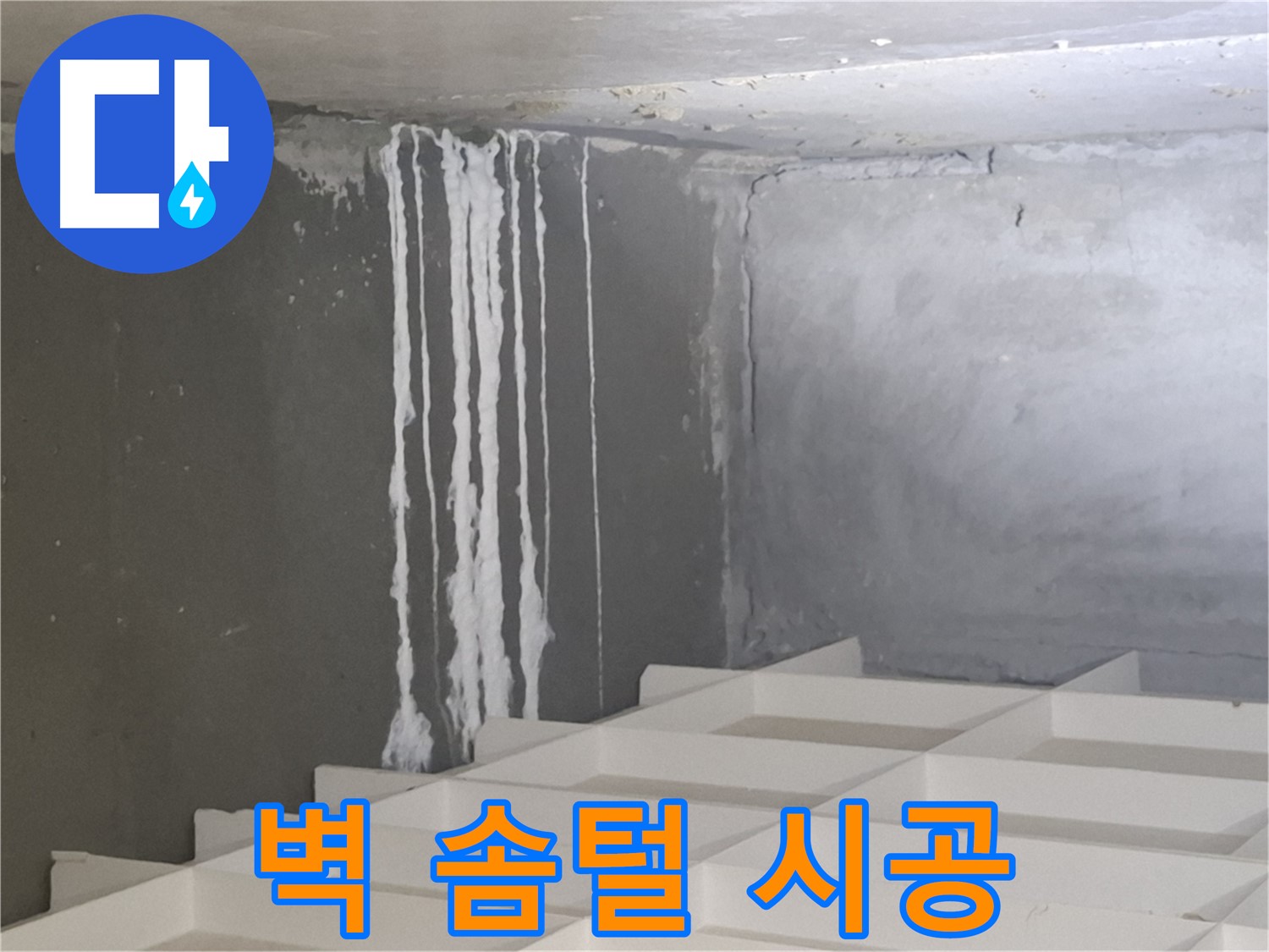삼평동 아파트 누수 - 콘크리트 벽에 생긴 솜털 문제, 재발 방지를 위한 완벽 시공 노하우 공개
