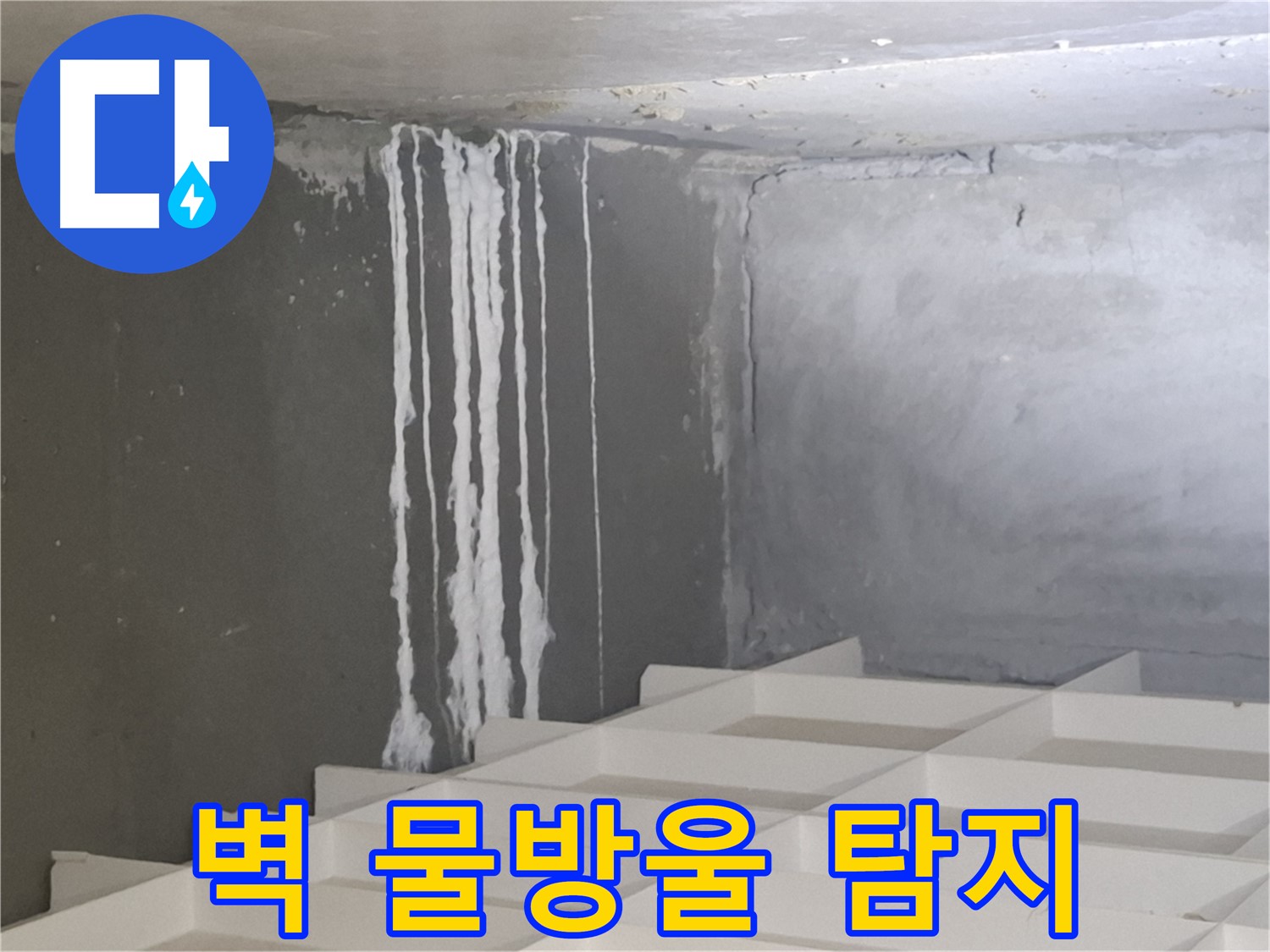 삼평동 아파트 누수탐지 - 벽에 맺힌 하얀 물방울, 숨겨진 누수 원인 꼼꼼히 찾기
