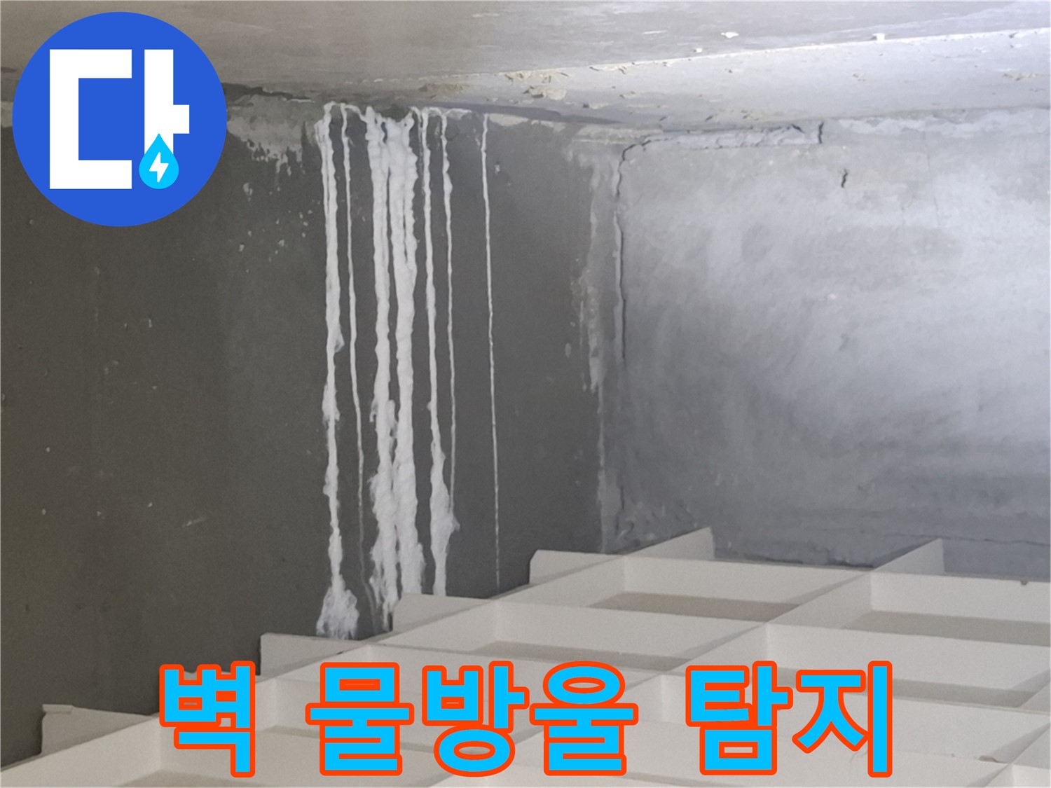 삼평동 아파트 누수탐지 - 벽에 맺힌 하얀 물방울, 숨겨진 누수 원인 꼼꼼히 찾기