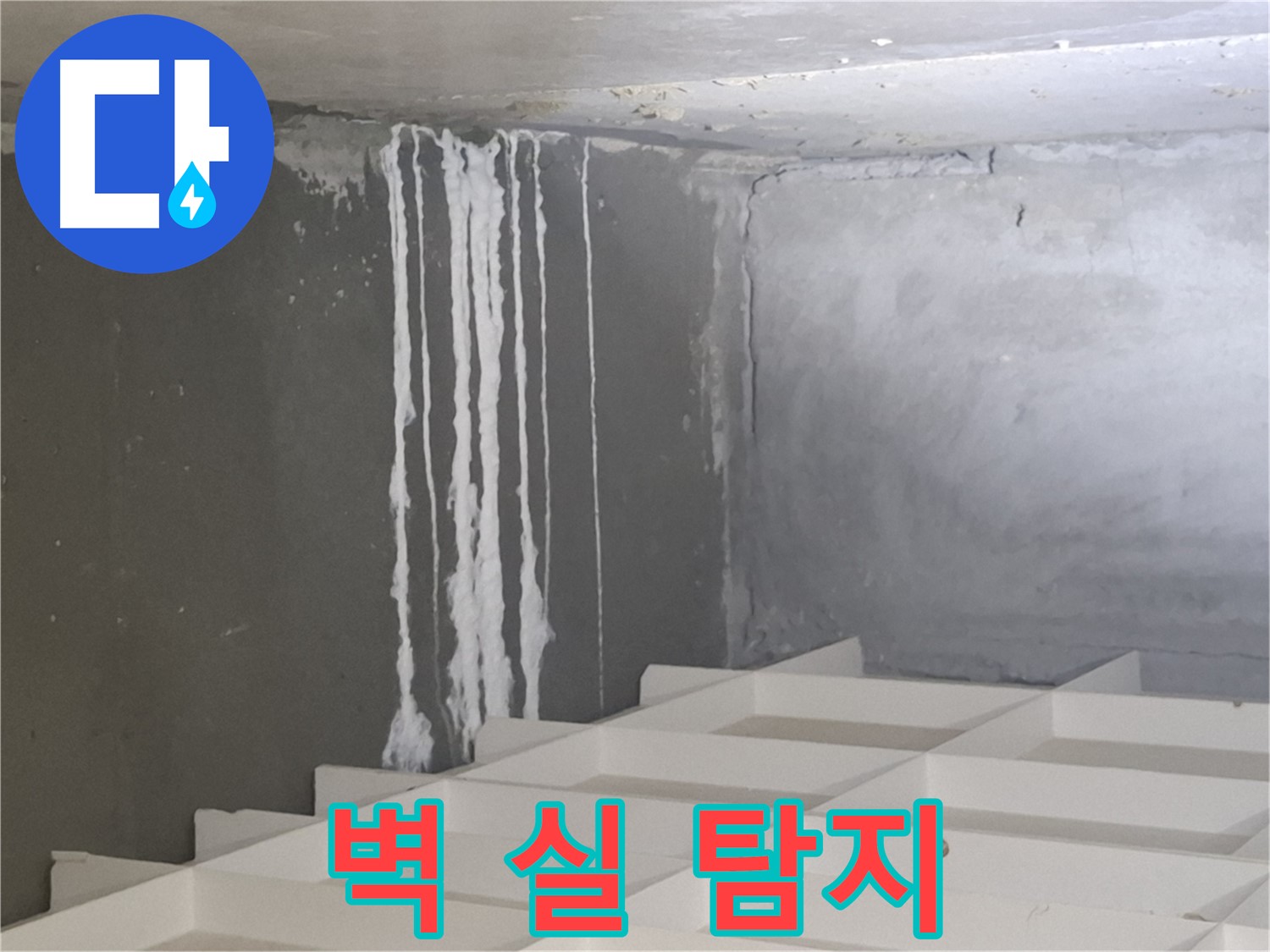 삼평동 아파트 누수탐지 - 벽에 맺힌 하얀 실, 숨겨진 누수 원인 꼼꼼히 찾기