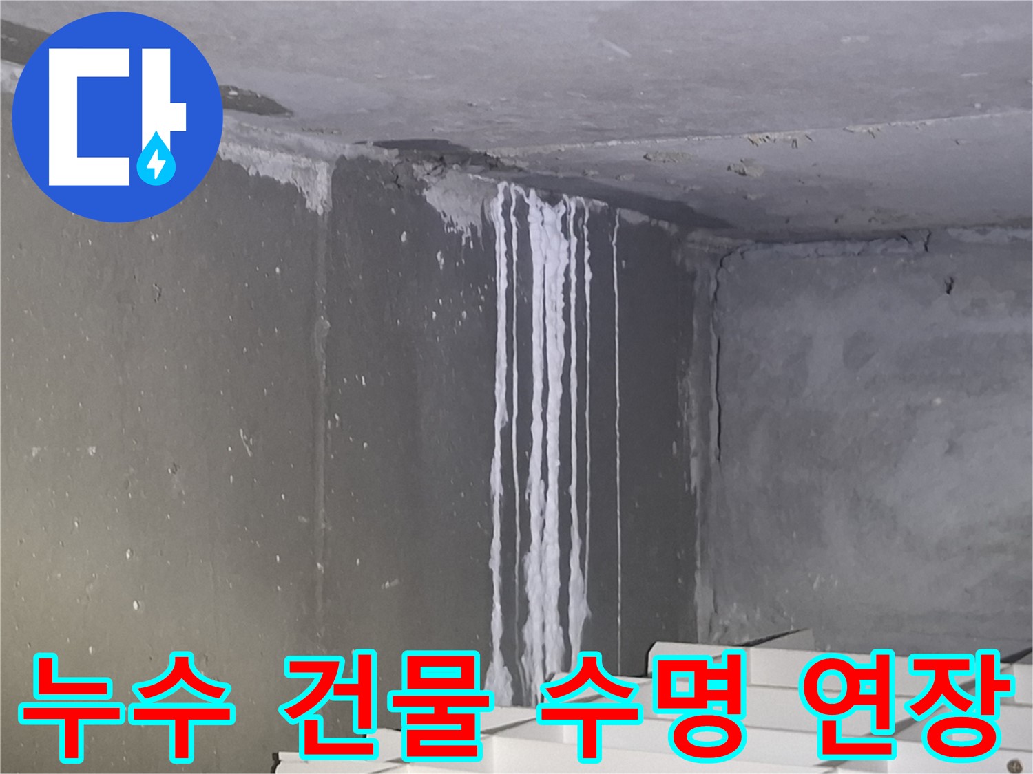 성남 건물 계단 벽 누수 - 건물 수명 연장의 시작