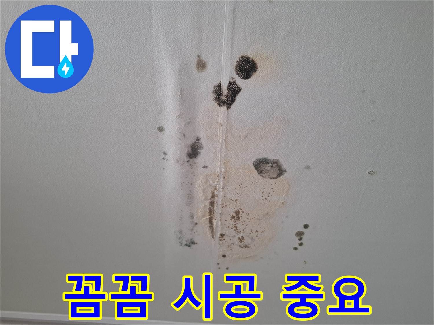 성남 누수 - 꼼꼼한 시공만이 누수 재발을 막을 수 있습니다