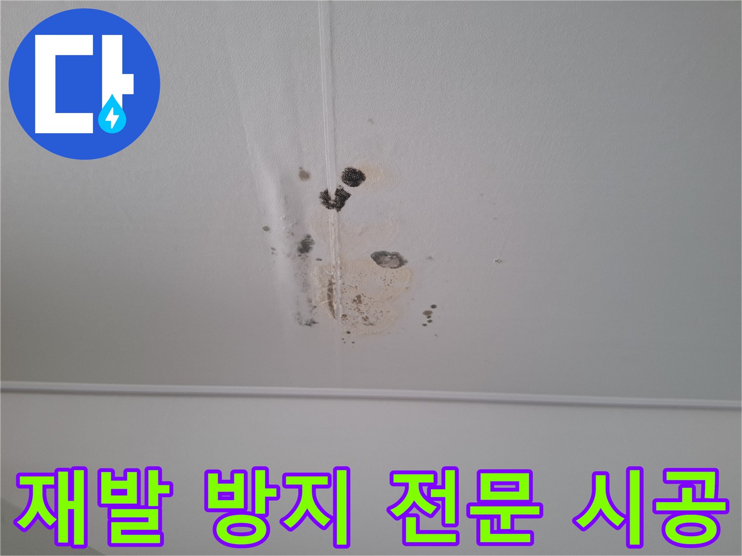 성남 봇들마을 봇들마을2단지 아파트 - 누수 재발 방지를 위한 전문적인 시공을 약속드립니다.