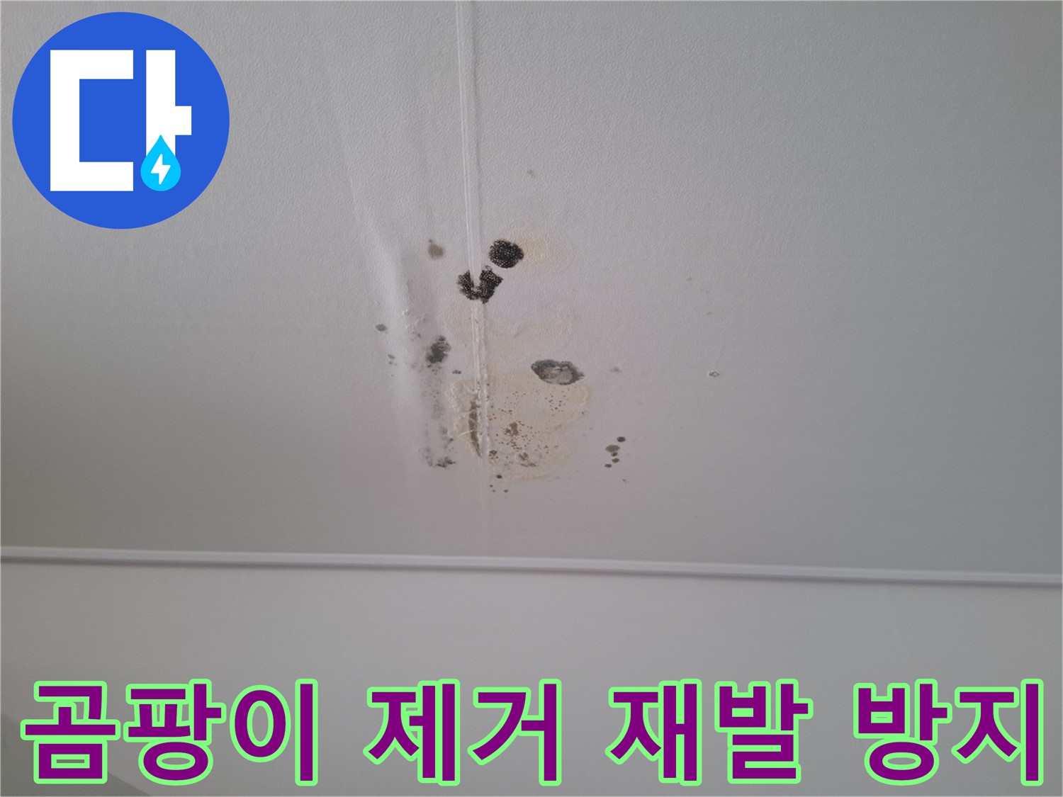 성남 봇들마을 아파트 - 천장 누수, 곰팡이 제거 후 완벽한 재발 방지 시공을 약속드립니다.