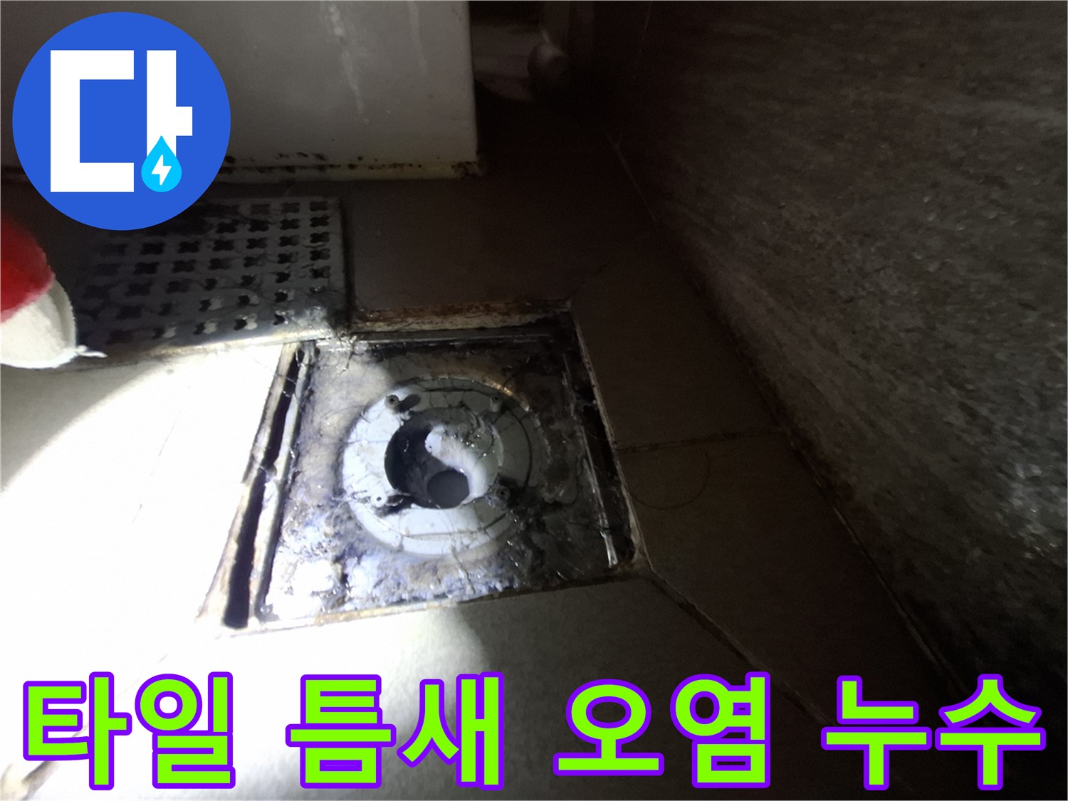 성남 봇들마을 욕실 타일 틈새 오염 - 누수 의심, 꼼꼼한 점검 필요
