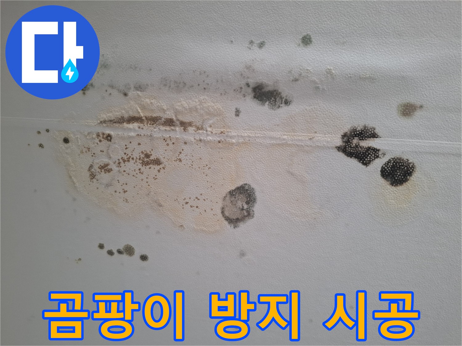 성남 분당 누수 - 봇들마을 천장 곰팡이 완벽 제거 및 곰팡이 방지 시공