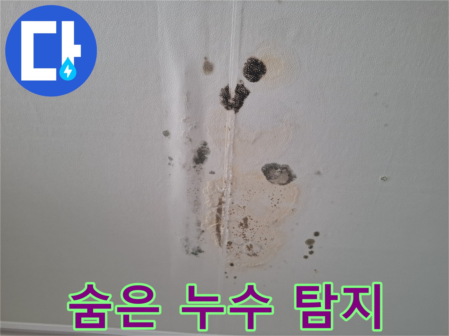 성남 분당 누수 - 숨어있는 누수까지 완벽하게 탐지