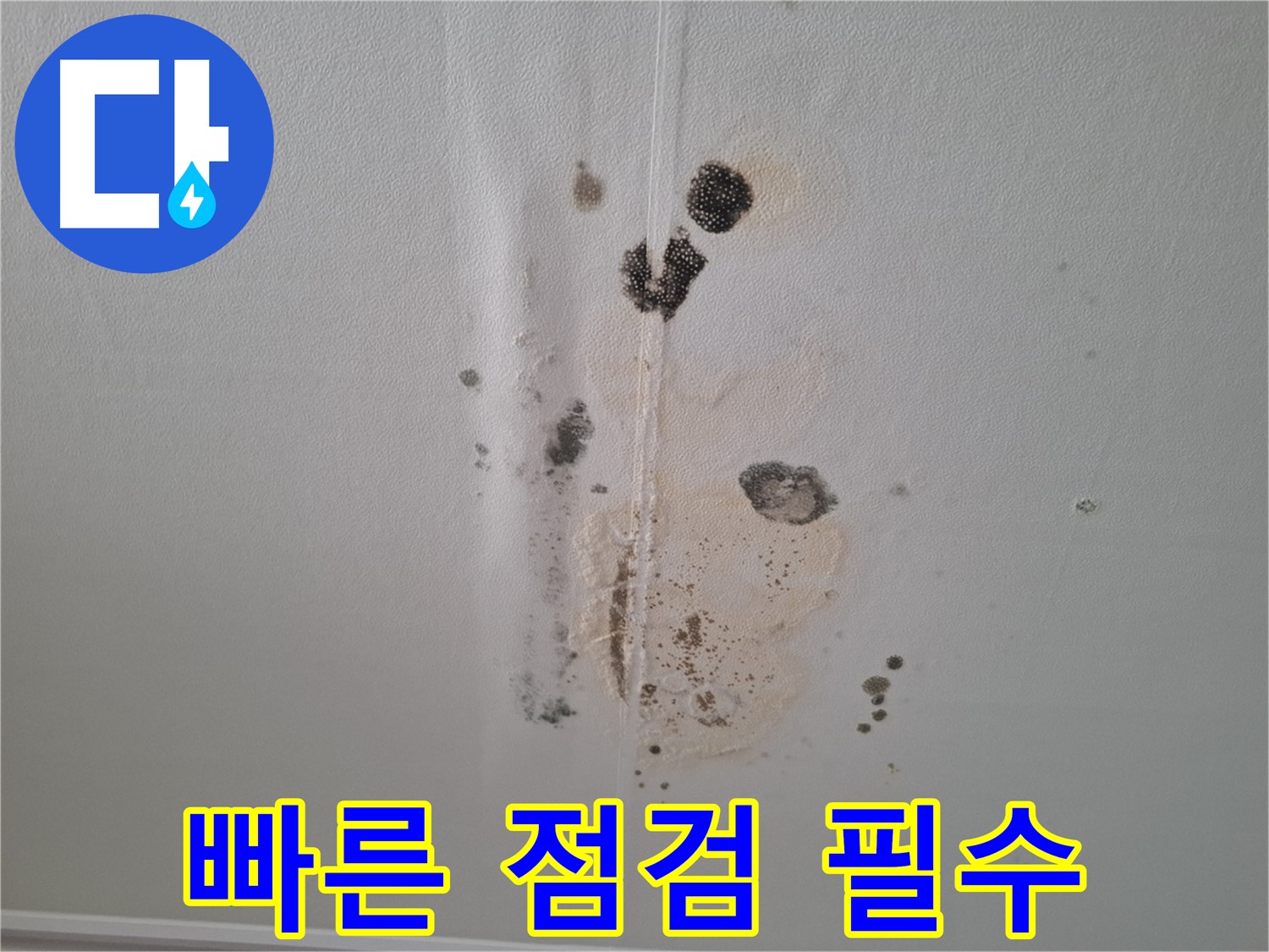 성남 분당 봇들마을 누수 - 천장 누수, 빠른 점검 필수