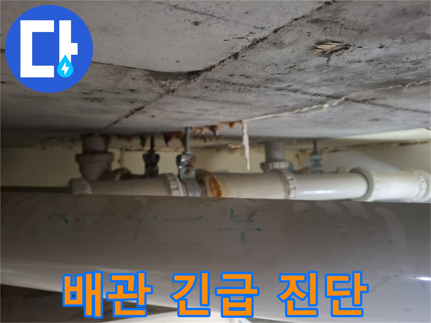 성남 분당구 봇들마을2단지 아파트 - 천장 배관 누수 긴급 진단 및 신속 조치 진행