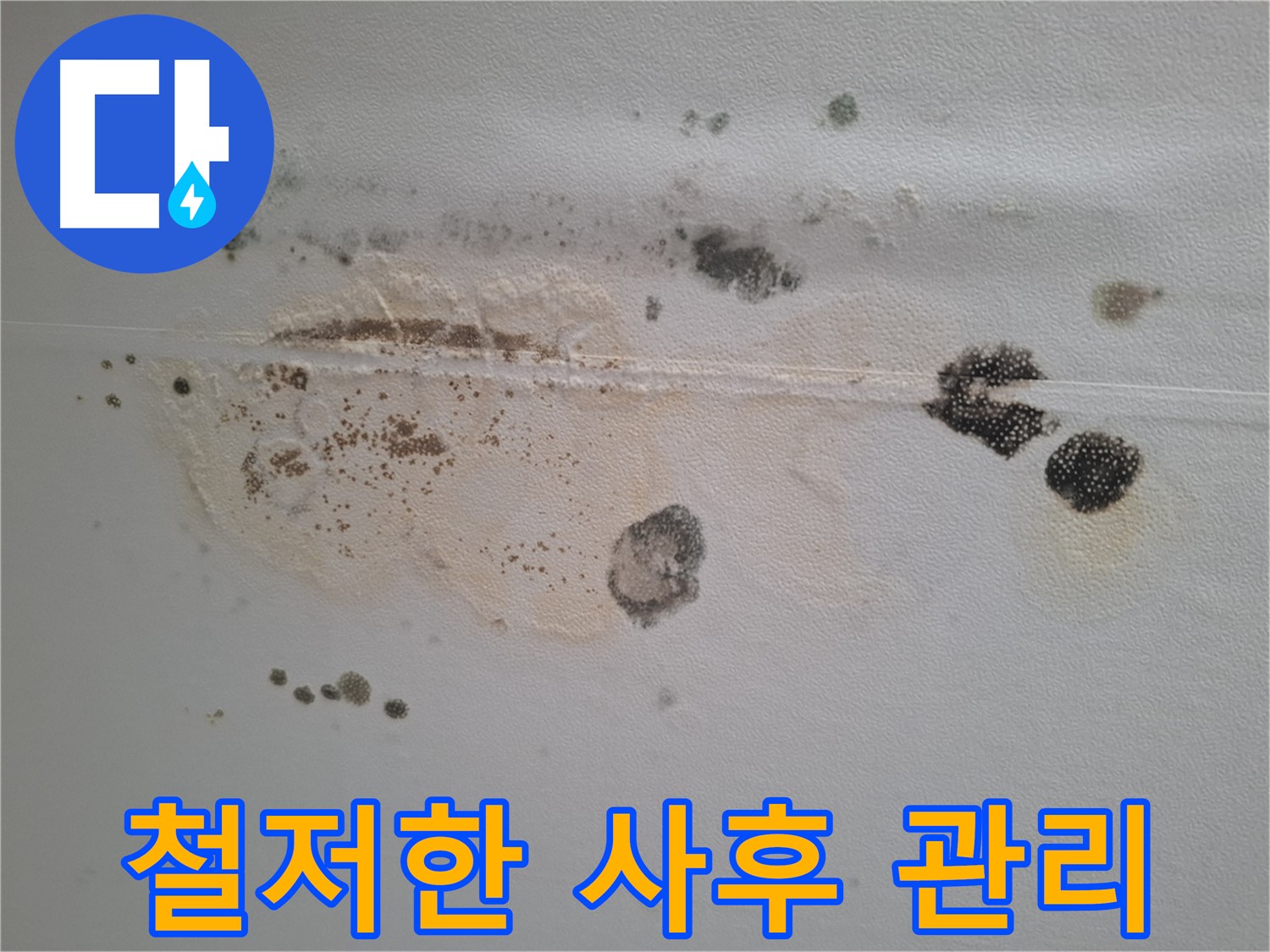 성남 삼평동 누수 - 봇들마을 천장 곰팡이 제거 후 철저한 사후 관리 약속