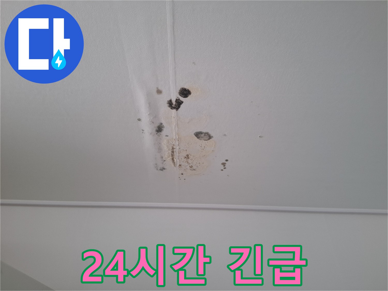 성남 삼평동 봇들마을2단지 아파트 - 24시간 긴급 상황에 대비한 누수 해결 서비스를 제공합니다.