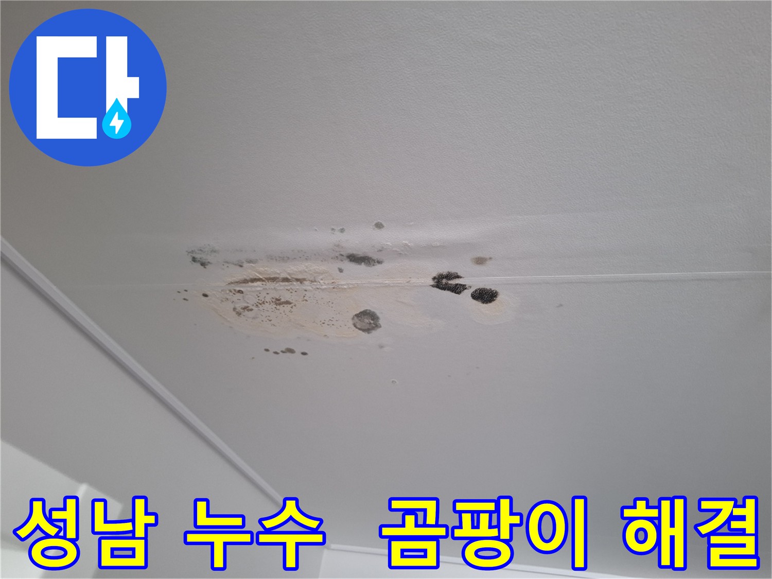 성남 아파트 천장 누수로 인한 곰팡이 발생 - 원인 분석 및 해결 과정