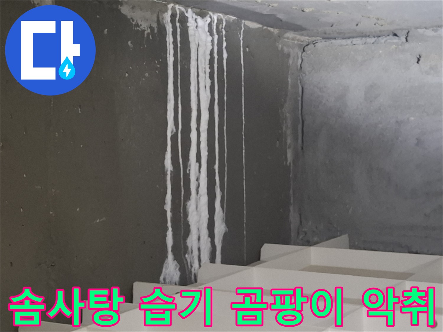 성남 판교 봇들마을 아파트 - 계단 '하얀 솜사탕' 누수는 습기와 곰팡이 확산을 촉진하고 악취를 유발합니다.