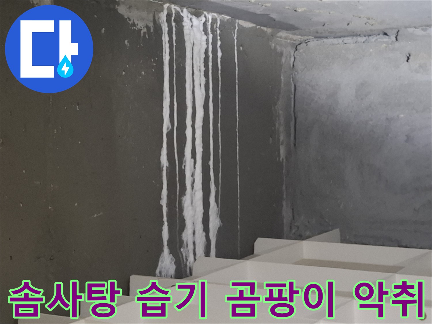성남 판교 봇들마을 아파트 - 계단 '하얀 솜사탕' 누수는 습기와 곰팡이 확산을 촉진하고 악취를 유발합니다.