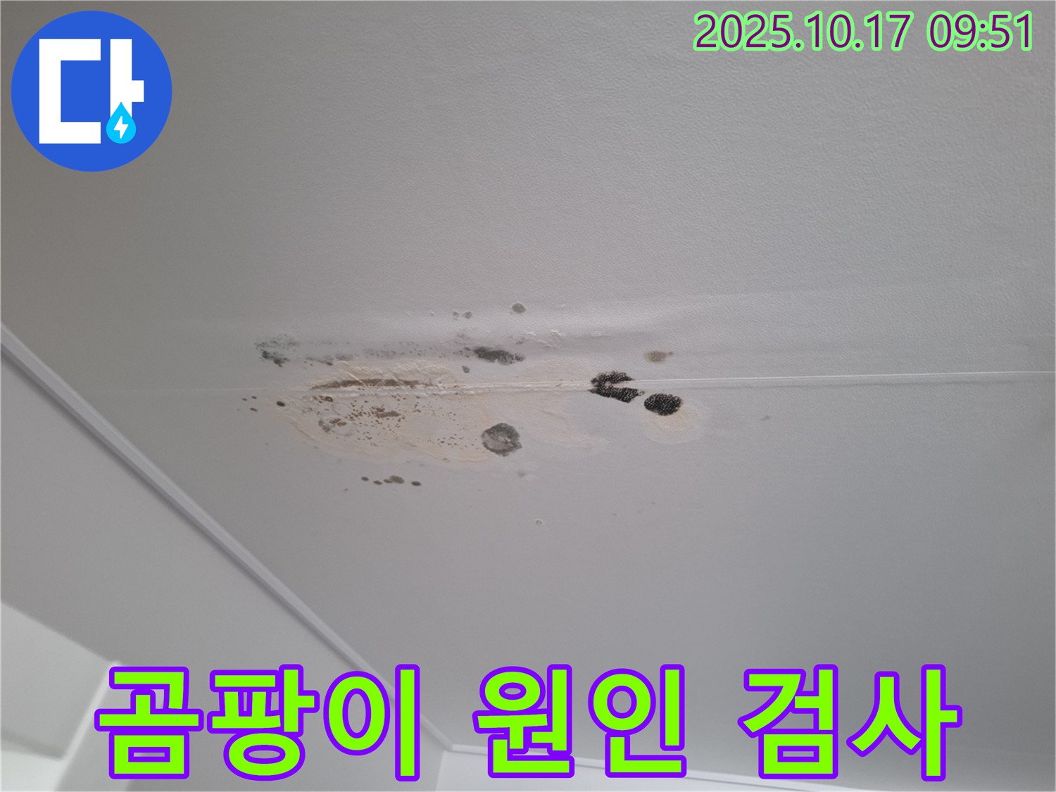 성남시 분당구 누수 - 곰팡이와 얼룩 심한 천장 - 누수 원인 정밀 검사