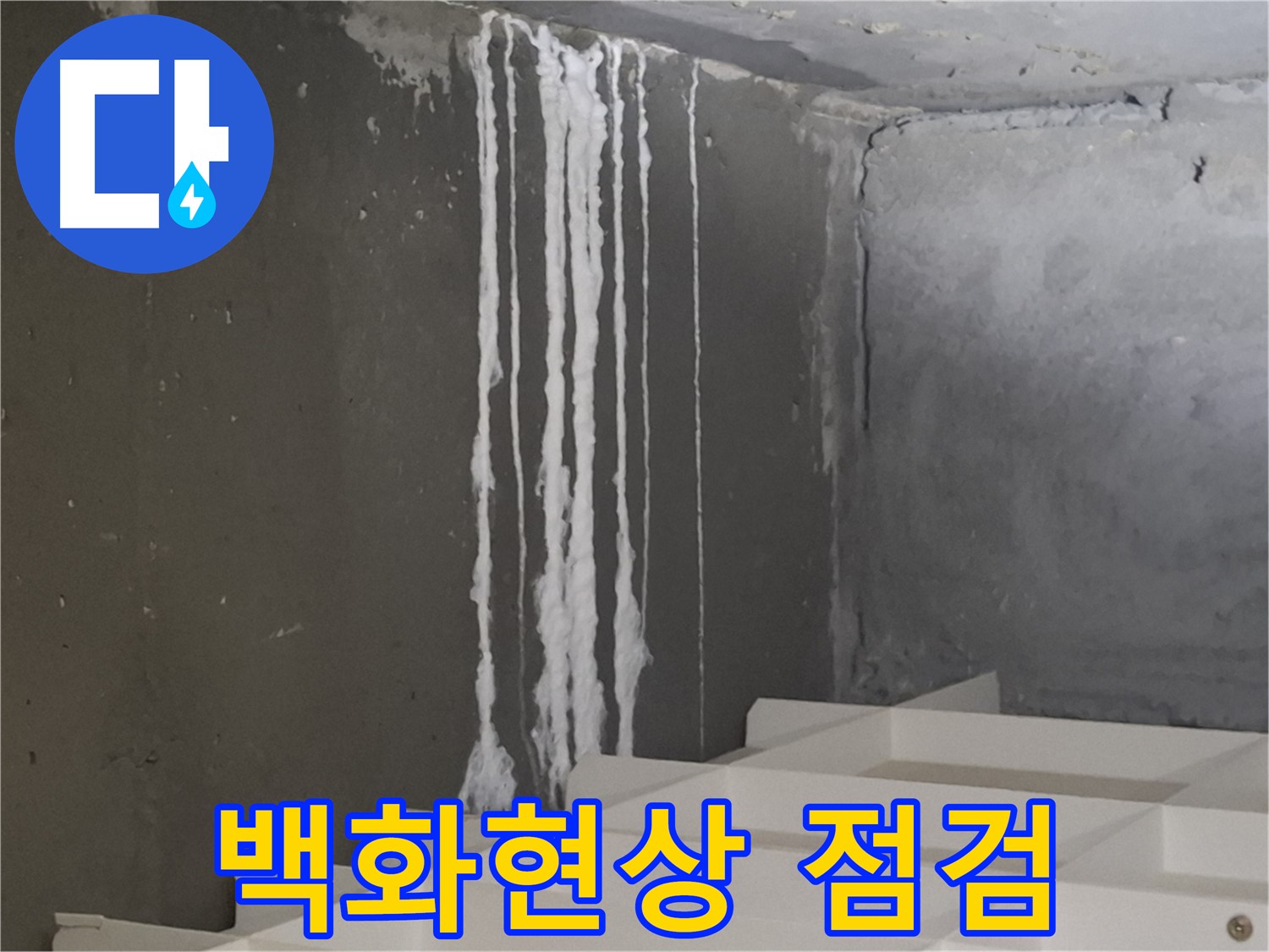 성남시 분당구 봇들마을 아파트 누수 - 계단 '백화현상' 누수 긴급 점검! 누수 가능성을 꼼꼼히 확인합니다.