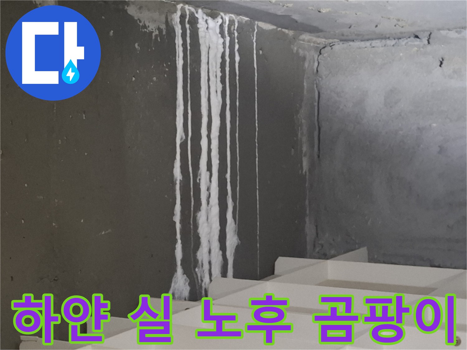 성남시 분당구 봇들마을 아파트 누수 - 계단 '하얀 실' 누수는 건물 노후화를 촉진하고 곰팡이 서식 환경을 조성합니다.