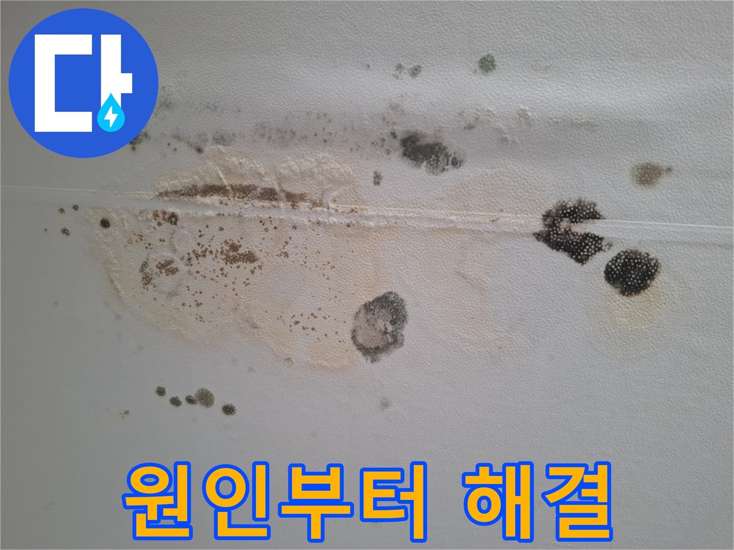 성남시 분당구 삼평동 누수 - 곰팡이 핀 천장, 원인부터 확실하게 잡는 해결책