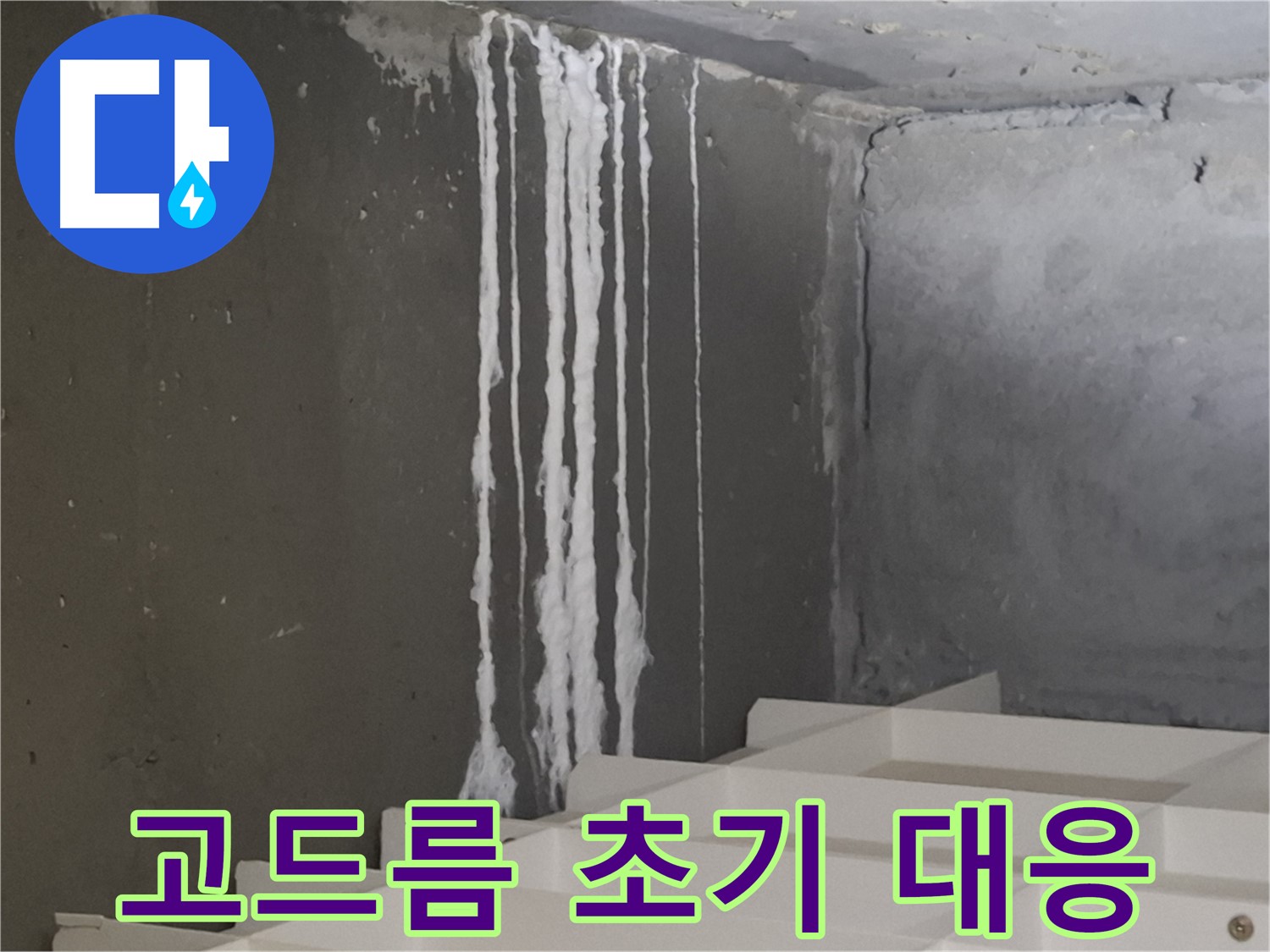 성남시 분당구 삼평동 아파트 누수 - 계단 '하얀 고드름' 누수 발생! 초기 대응의 중요성을 강조하는 이미지.