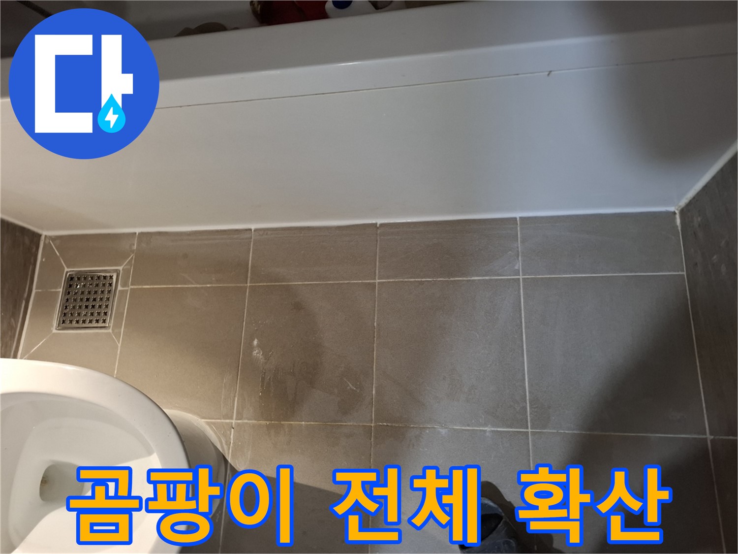 욕조 주변 타일 틈새 곰팡이 전체 확산 - 누수 심각