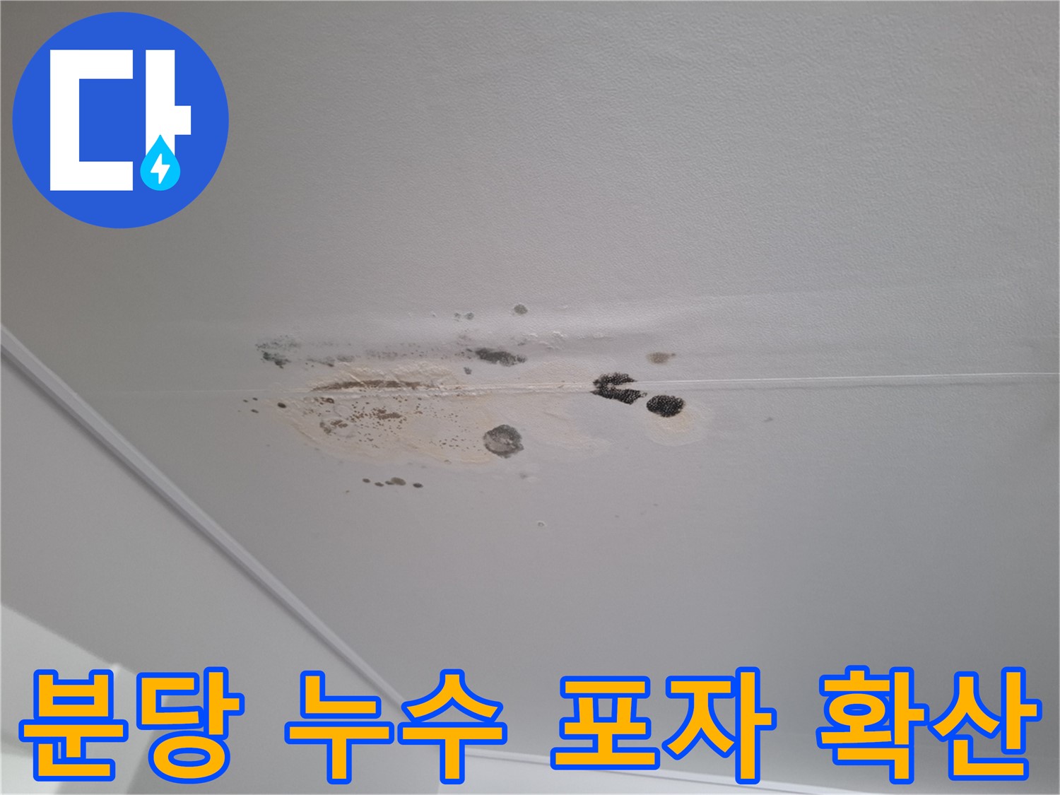 천장 누수 - 곰팡이 포자 확산, 건강에 해로워요