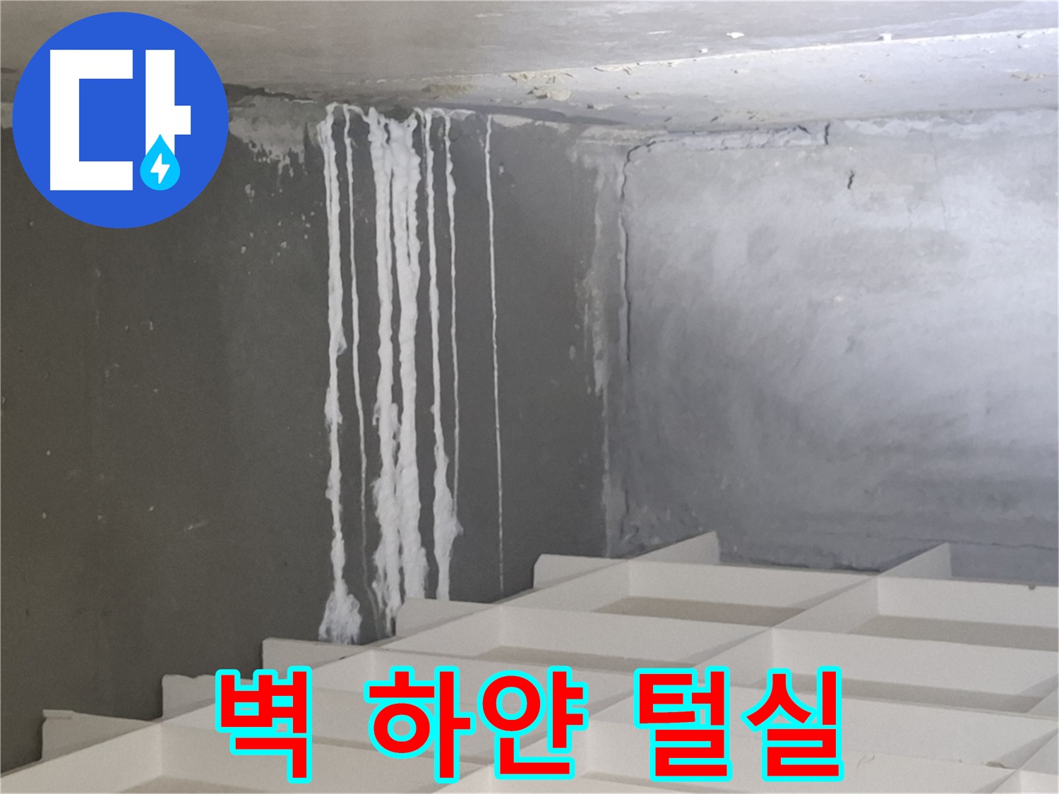 판교 봇들마을 누수 - 벽에 맺힌 하얀 털실, 누수 가능성 긴급 점검 및 해결