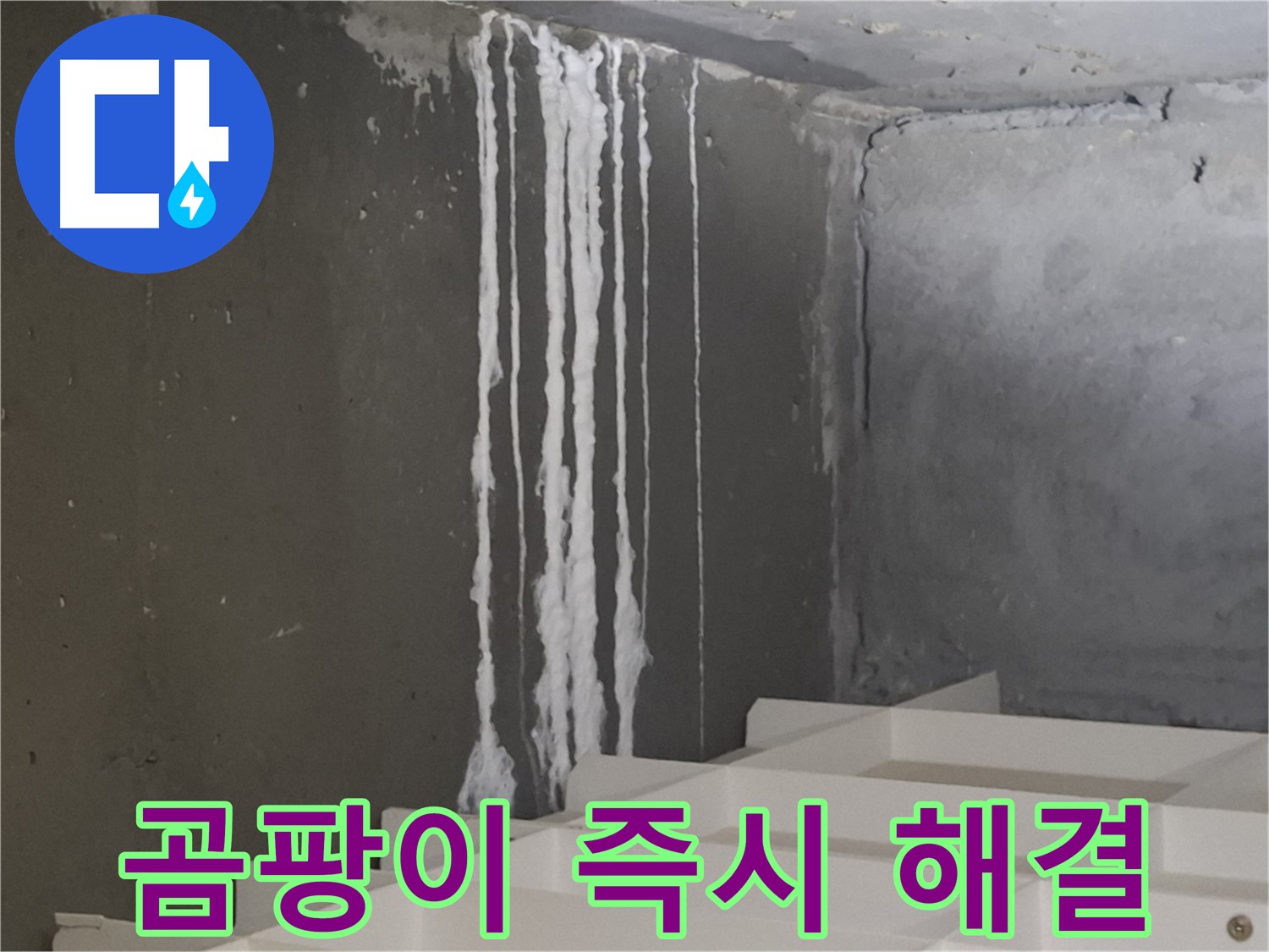 판교 봇들마을 아파트 - 계단 '하얀 곰팡이' 누수, 건강을 위협하는 누수, 즉시 해결해야 합니다.