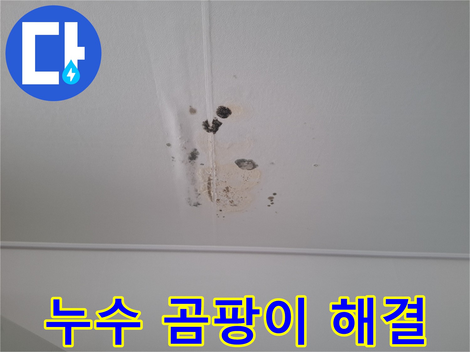 판교 봇들마을 아파트 천장 - 누수 흔적과 곰팡이를 긴급하게 해결해 드립니다.
