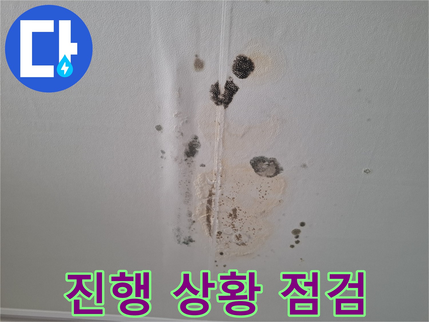 판교 봇들마을2단지 아파트 누수 - 206동 누수 진행 상황 점검 중