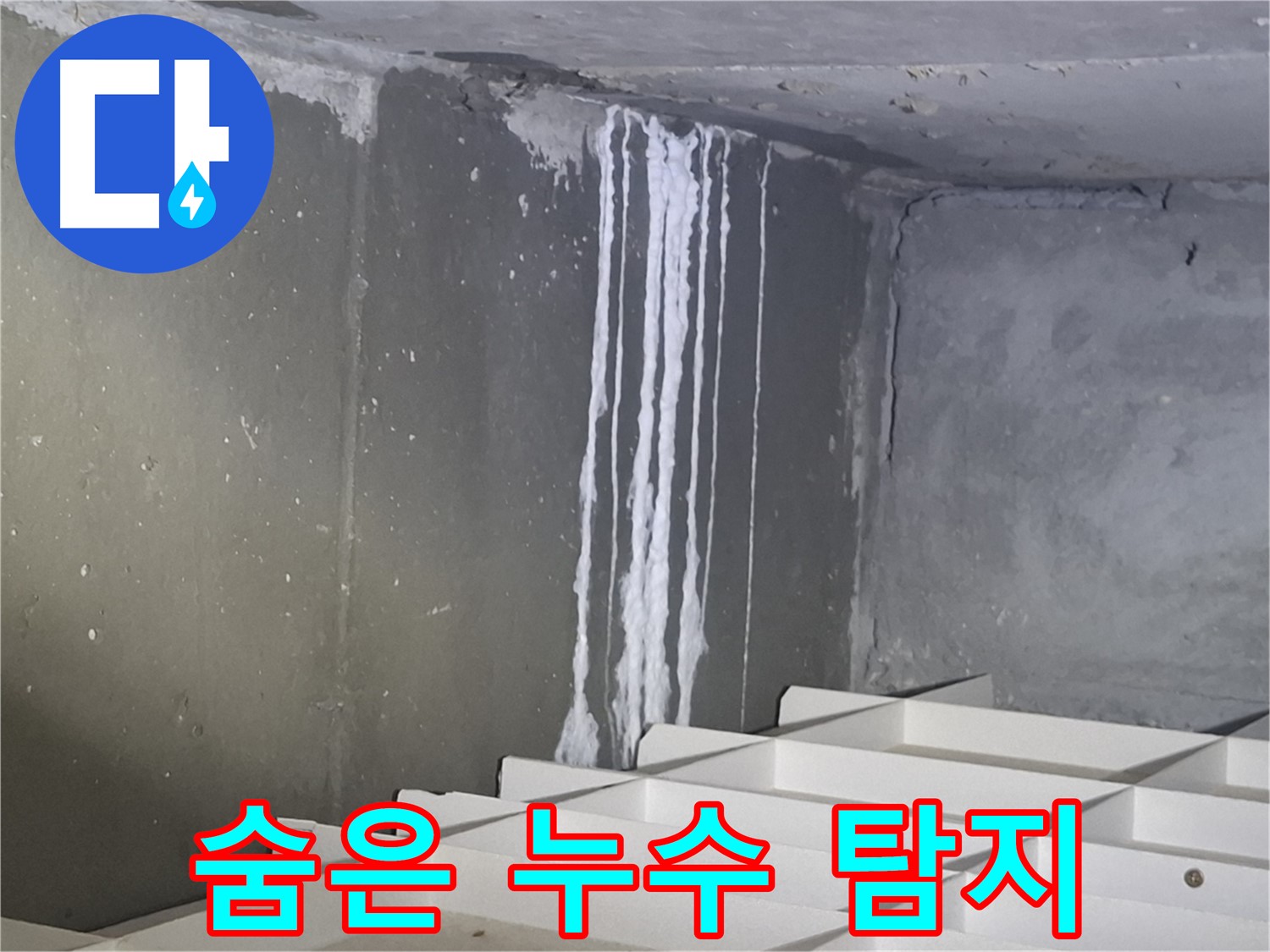 판교 봇들마을2단지 아파트 누수 - 첨단 장비로 숨어있는 누수 지점 탐색