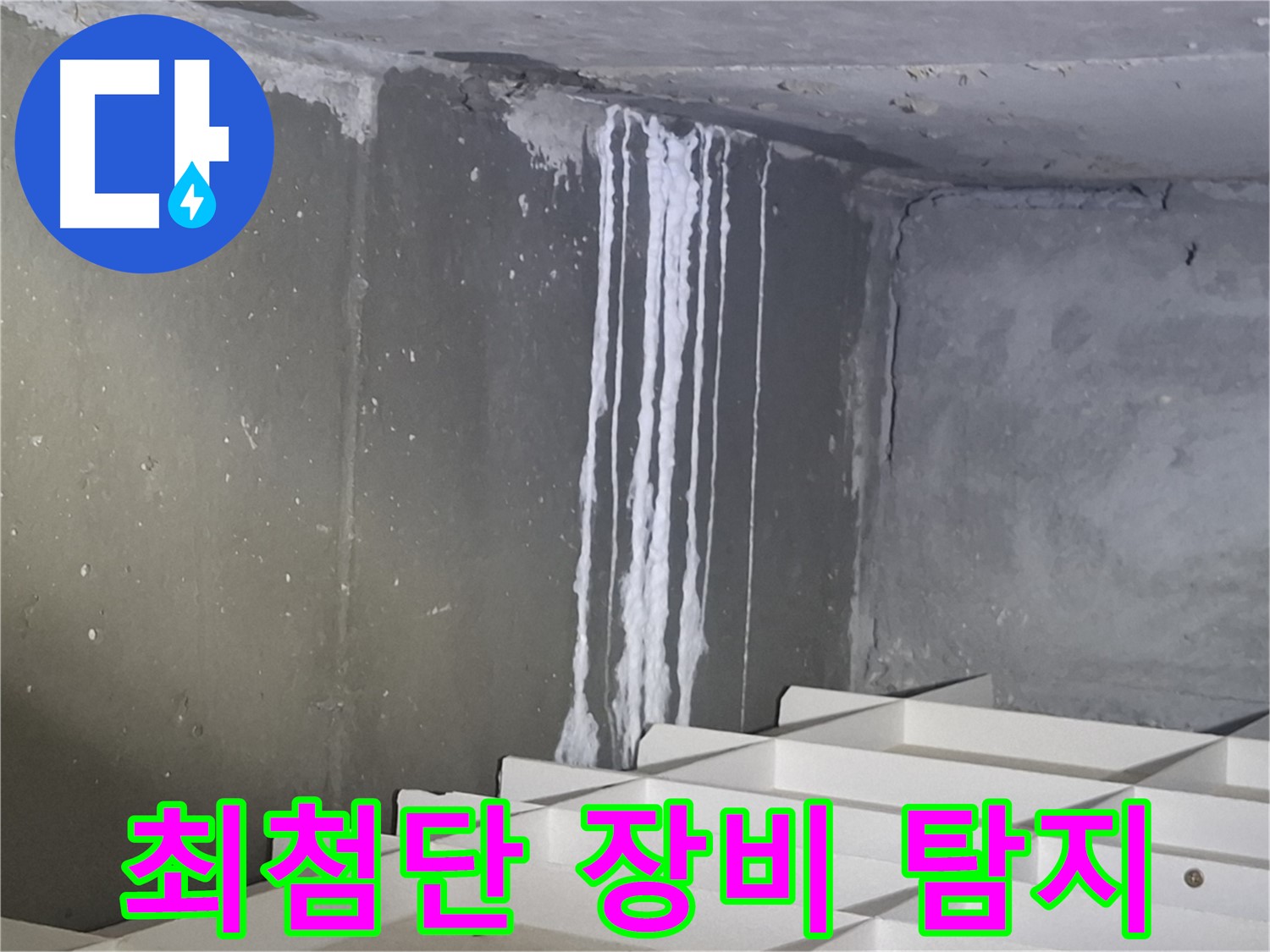판교 봇들마을2단지 아파트 - 지하 누수, 최첨단 장비로 정확하게 탐지!
