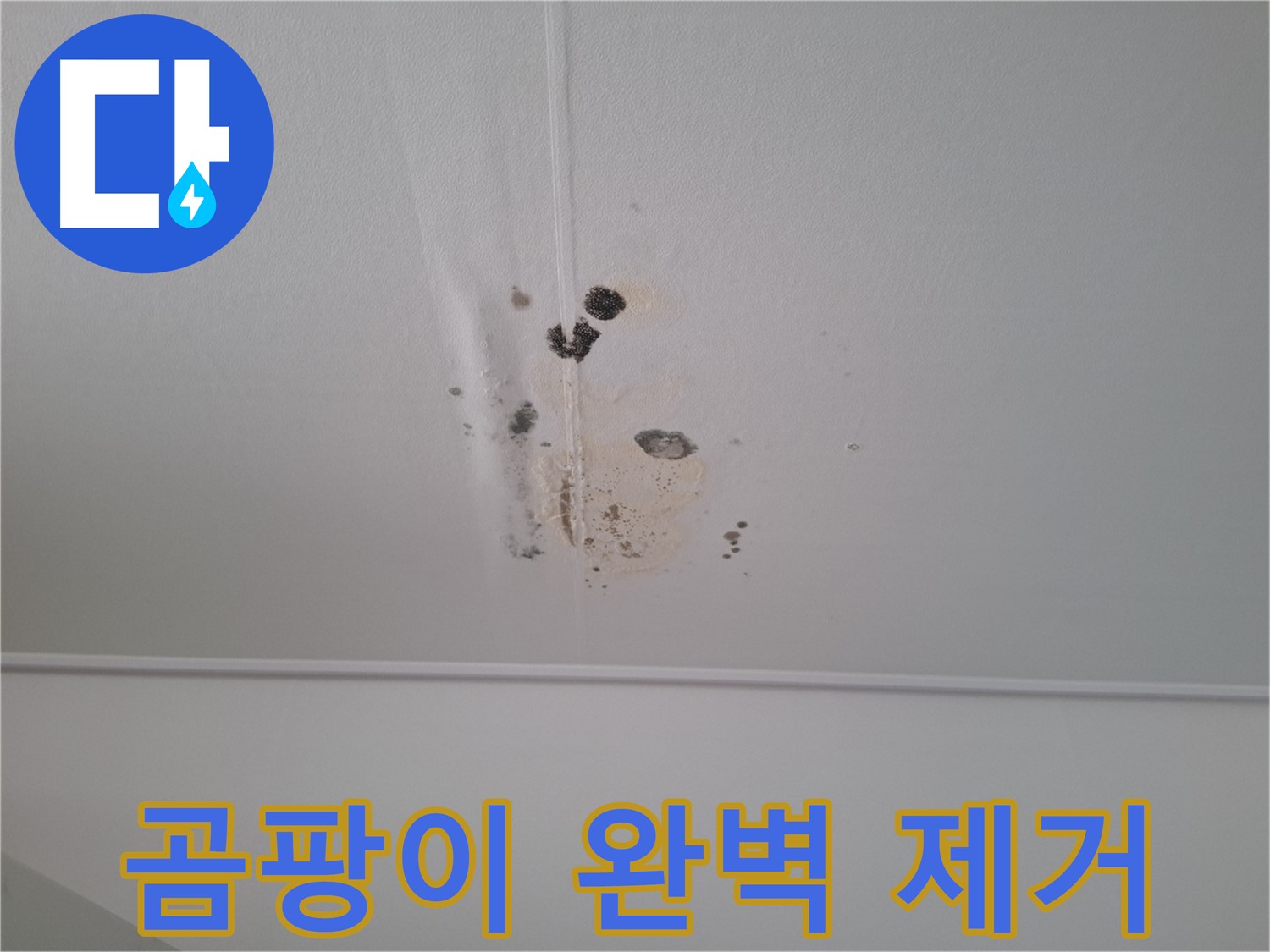 판교 삼평동 봇들마을2단지 아파트 - 곰팡이 문제를 완벽하게 제거하고 쾌적한 환경을 만들어 드립니다.