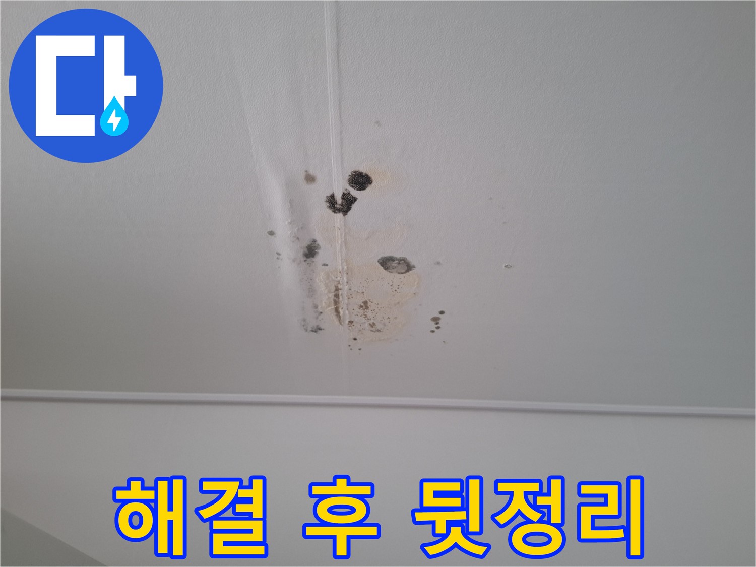 판교 삼평동 봇들마을2단지 아파트 - 누수 해결 후 깔끔한 뒷정리까지 책임지고 마무리합니다.