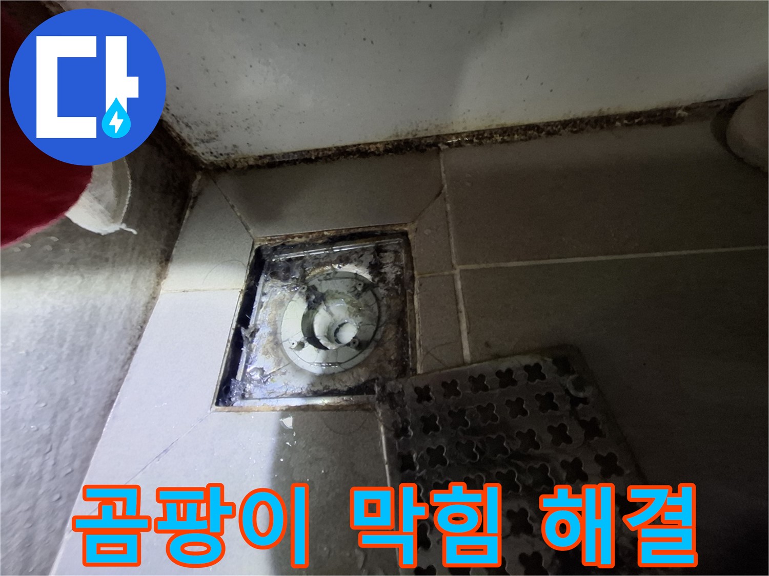 판교 삼평동 봇들마을2단지 욕실 - 곰팡이와 막힌 배수구 긴급 해결