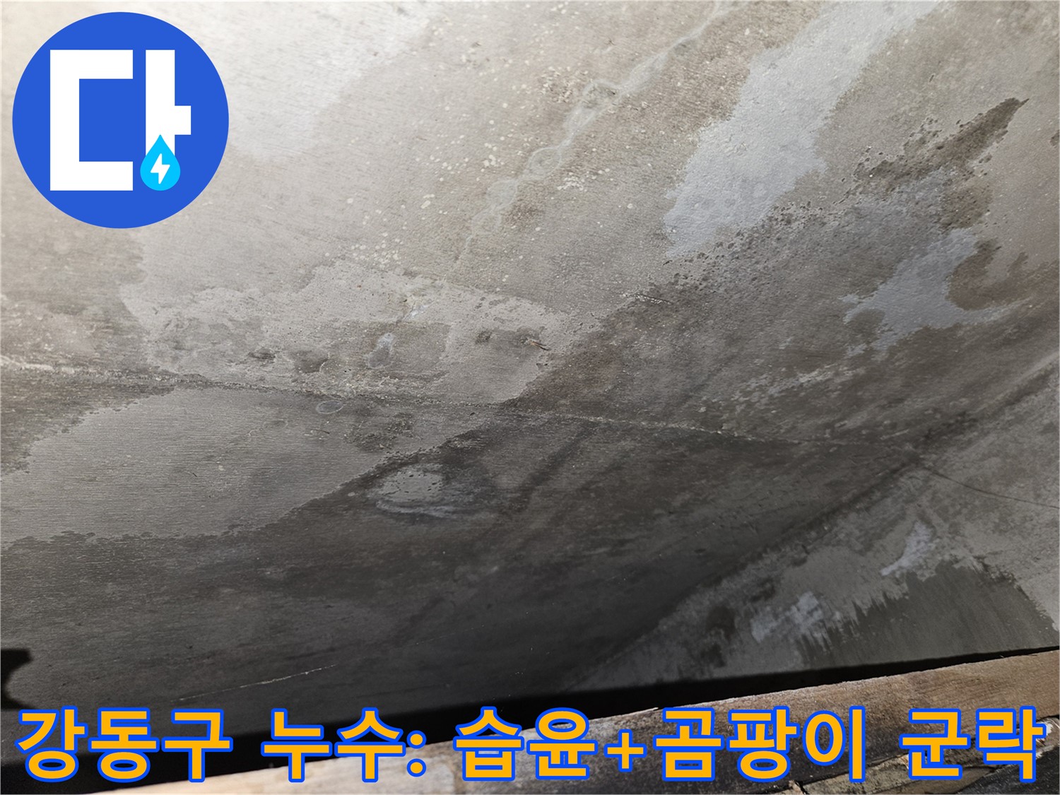 강동구 아파트 누수 - 습윤과 곰팡이 군락 부분 형성