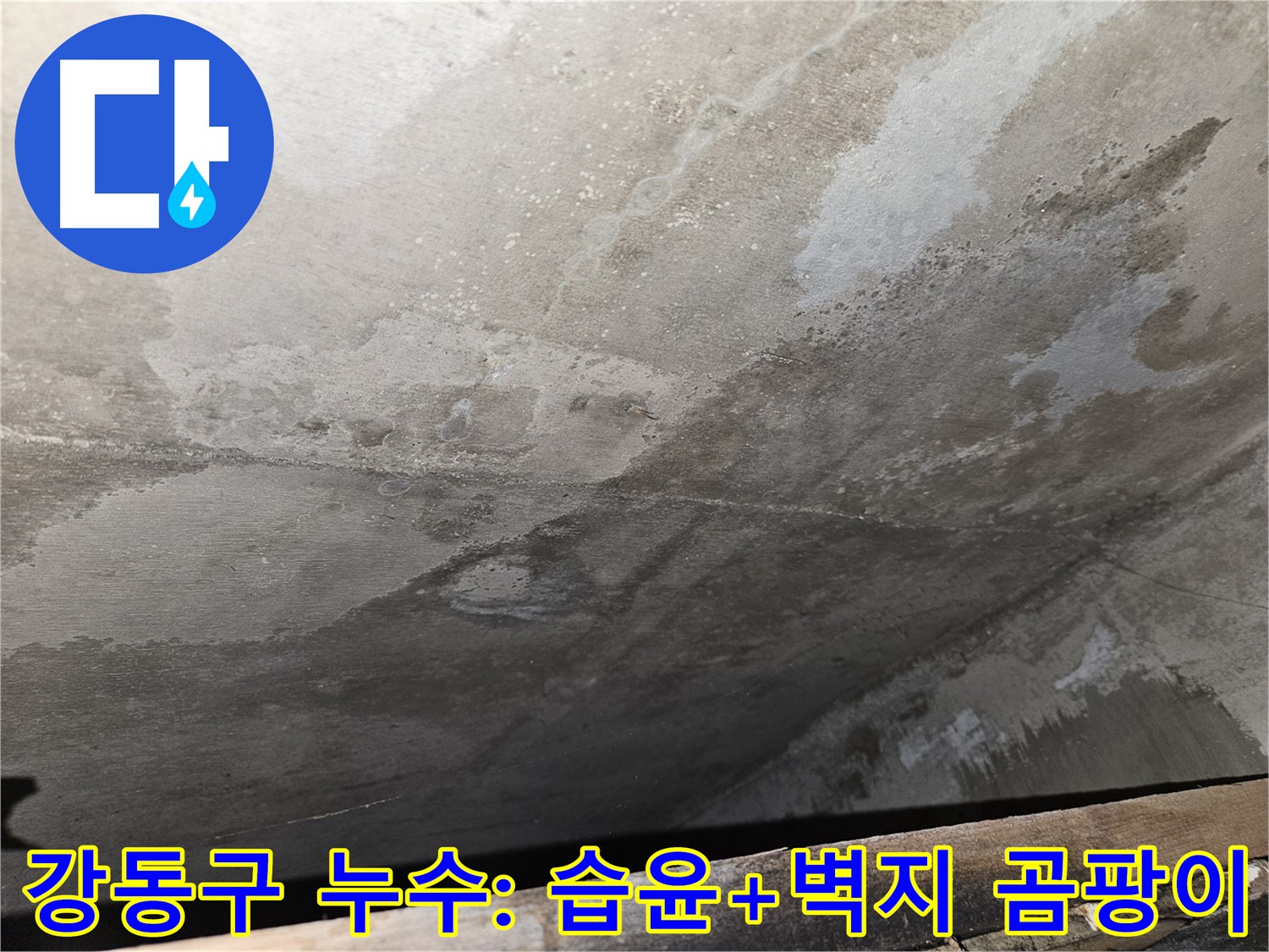 강동구 아파트 누수 - 습윤과 벽지 곰팡이는 건강 위협