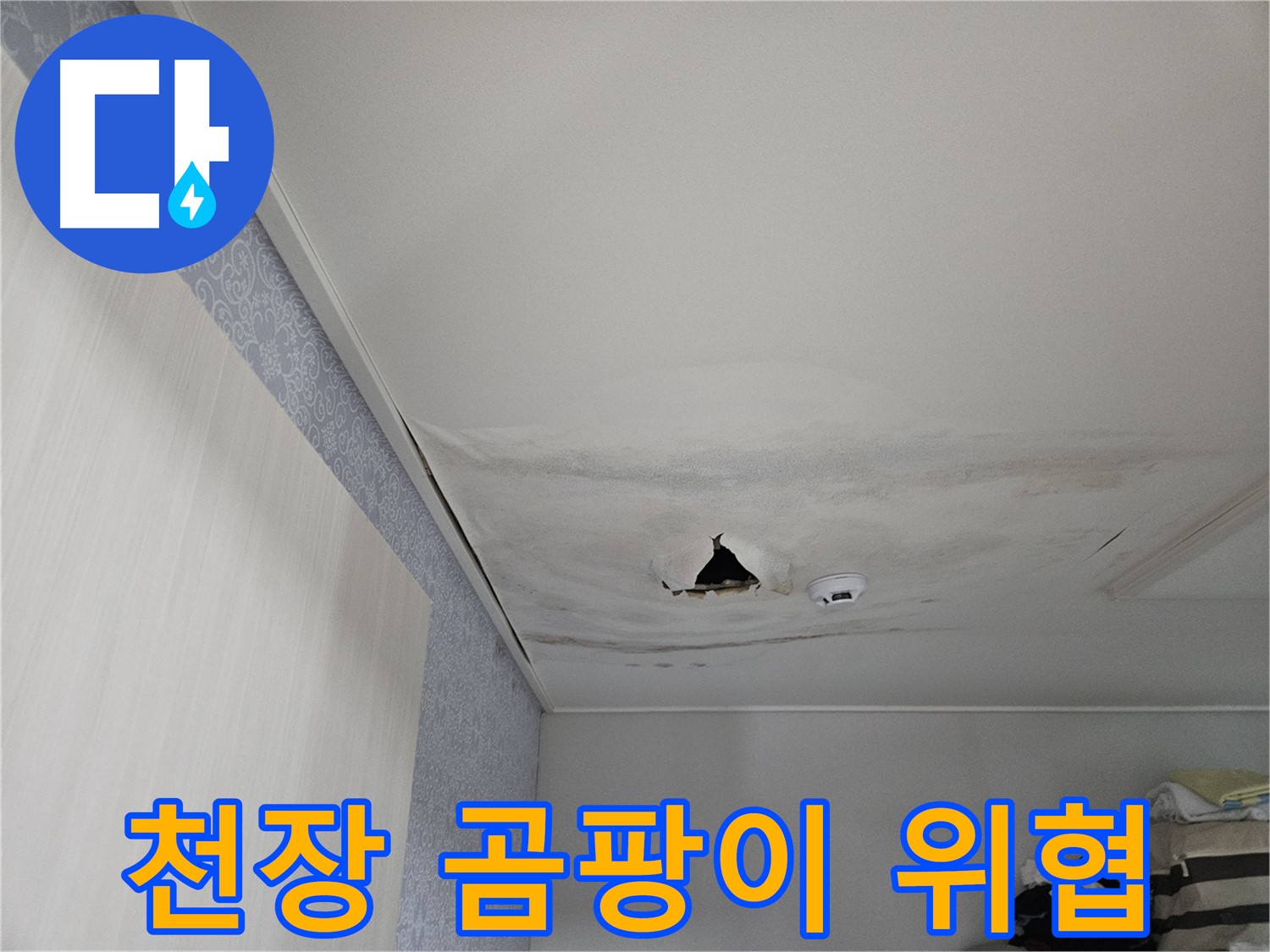 강동구 천호동 누수 - 곰팡이 번식, 건강 위협