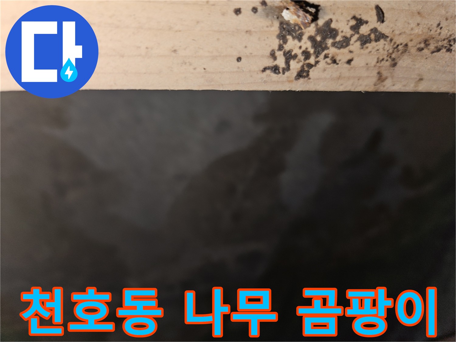 강동구 천호동 누수 - 나무 틈새 곰팡이 - 부식
