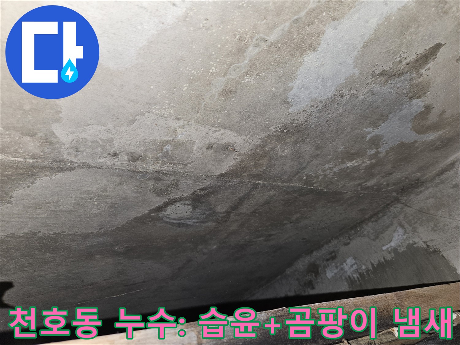 강동구 천호동 콘크리트 누수 - 습윤, 곰팡이 냄새 민감한 사람만 감지 가능은 누수 초기
