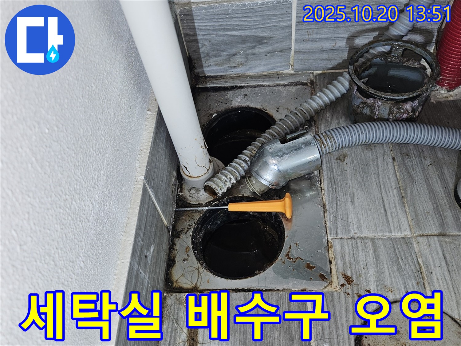 세탁실 배수구 - 심각한 오염 상태 - 누수 위험 증가