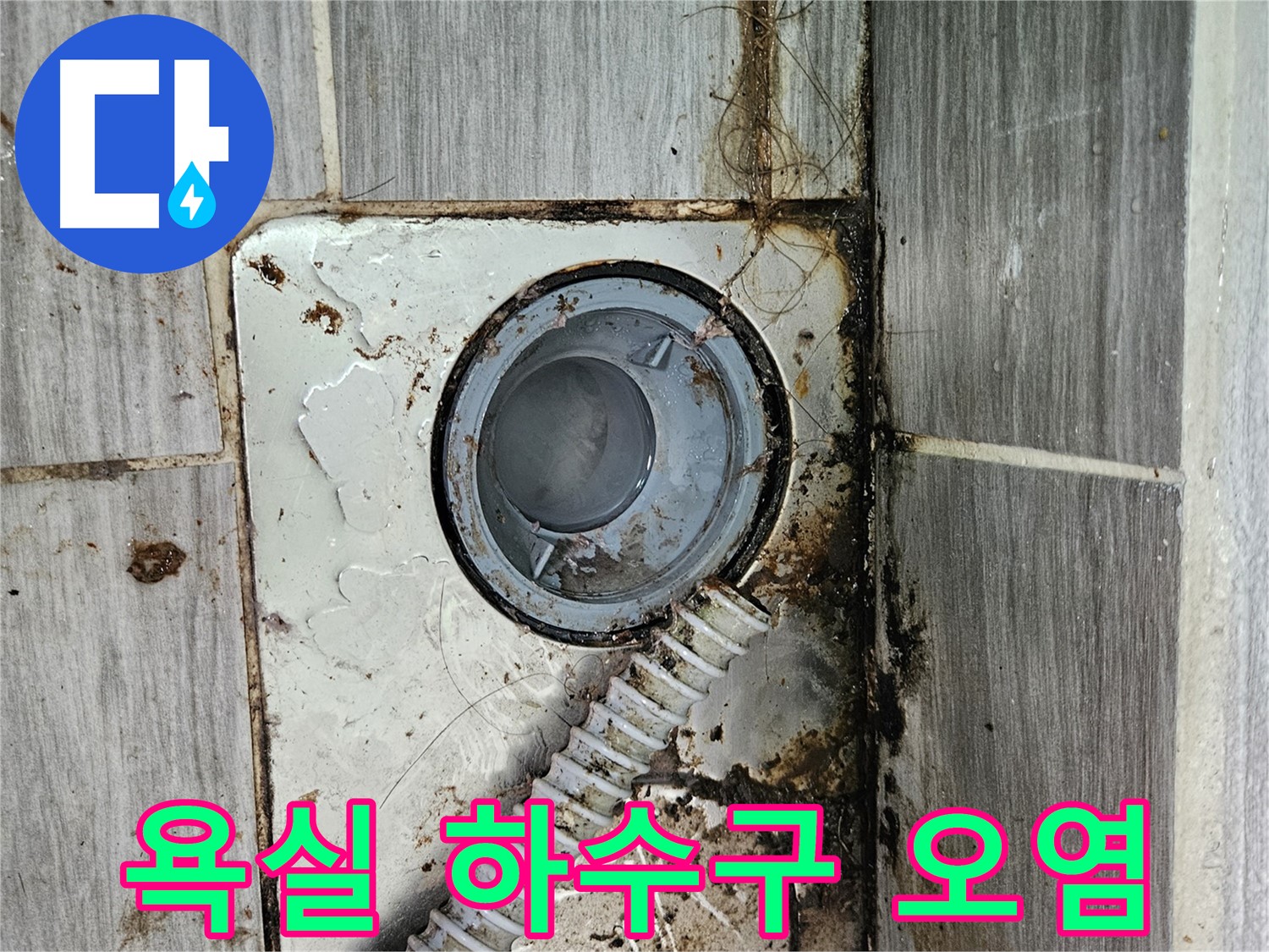 오염된 욕실 하수구 - 누수 가능성이 있는 오염된 하수구 상태 점검
