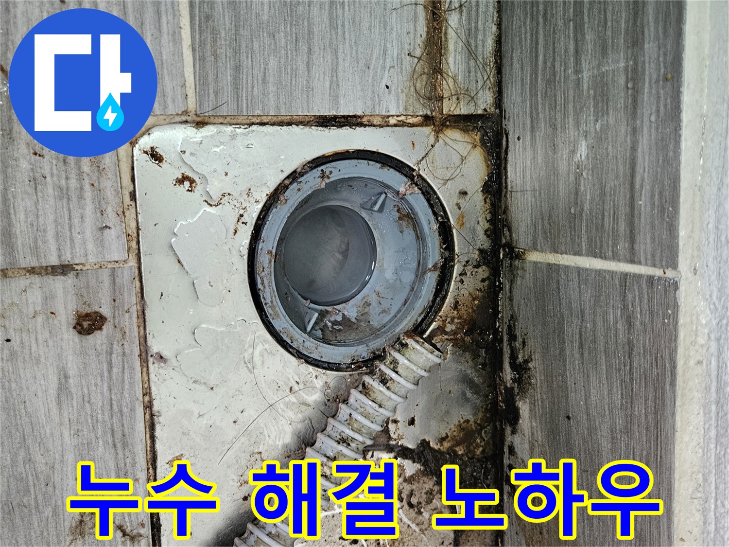 욕실 하수구 누수 해결 - 완벽 해결 노하우 공개