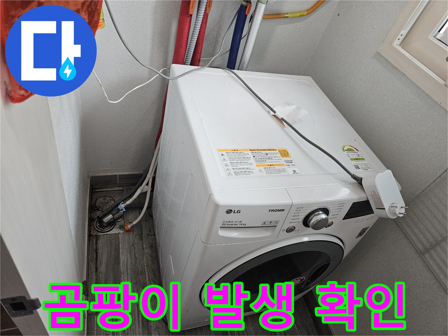 천호동 세탁기 누수 - 배수구 주변 습기로 인한 곰팡이 확인